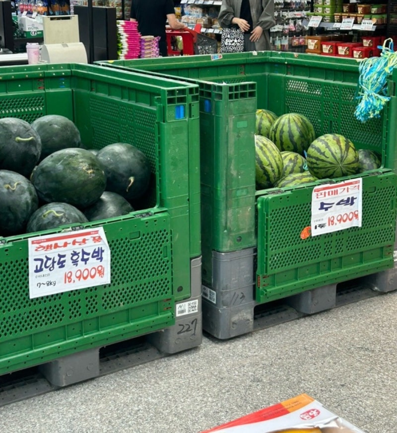 맛있는 수박 고르는 법 - 장마철 수박이 맛없는 이유 (7월 수박 실패 안 하는 법)