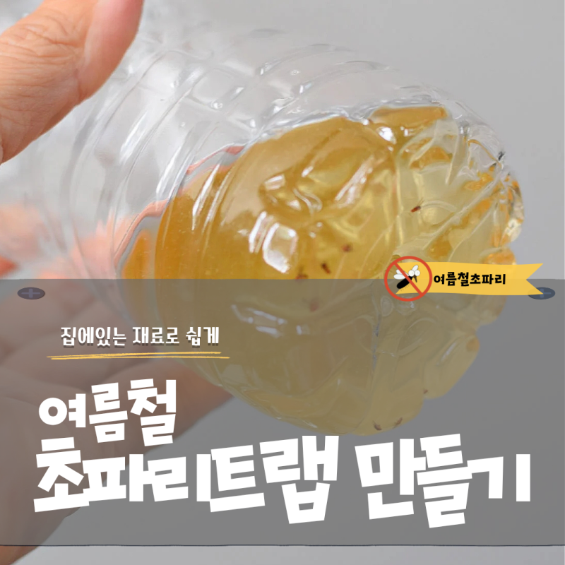 초파리 트랩 만들기, 집에 있는 재료로 쉽게 해결