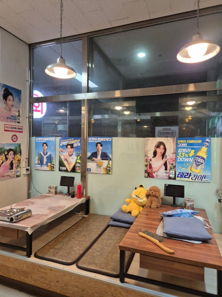 회뜨는돼지 사진 4