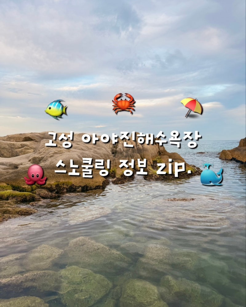[강원도] 요즘 떠오르는 고성 스노쿨링 명소 “ 아야진해수욕장 총정리 ” 샤워장 장비 파라....