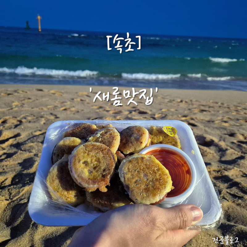 [속초 중앙시장오징어순대 맛집] '새롬맛집' 기성품아니고 직접 만드는 오징어순대
