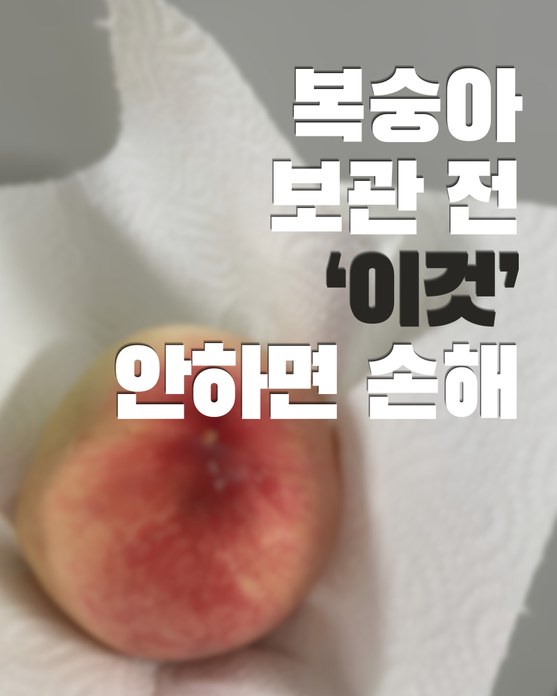 복숭아 보관법 냉장고에 바로 넣으면 안 되는 이유