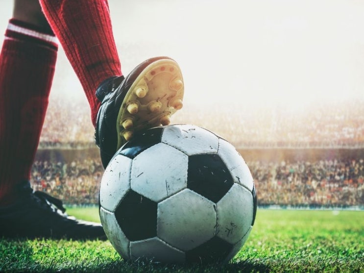 <b>아르헨티나</b> 결승 진출 후 <b>FIFA</b> <b>징계</b> 논란 포클랜드 현수막 왜... 