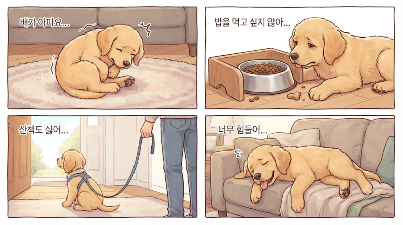 [강아지 파보 1탄] 강아지 파보바이러스란?단순 장염이 아닙니다. 골든타임이 생명을 좌우합....