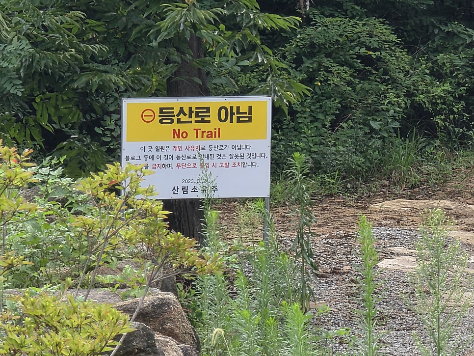 홍동산 사진 1