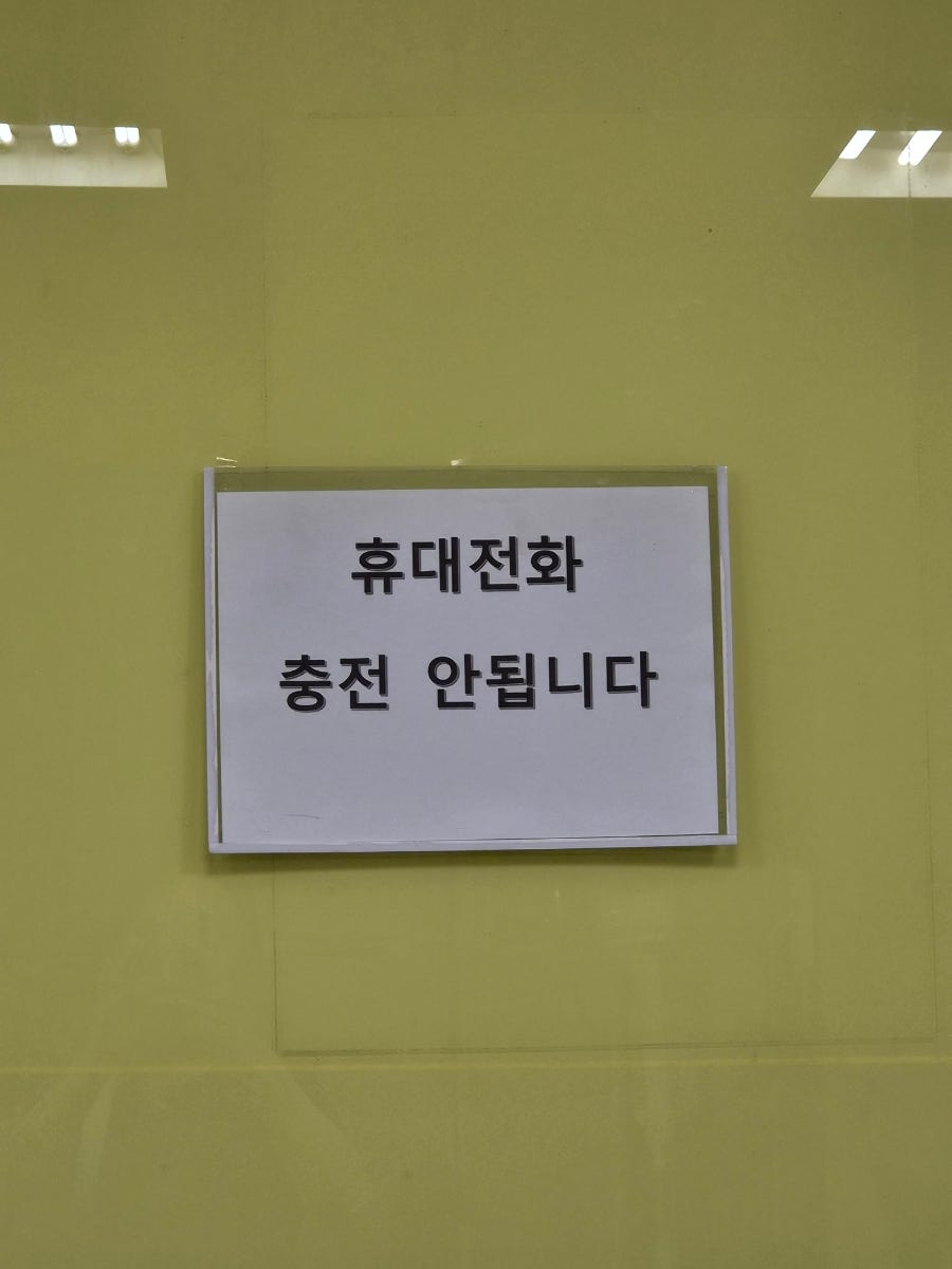 그린토마토 사진 5