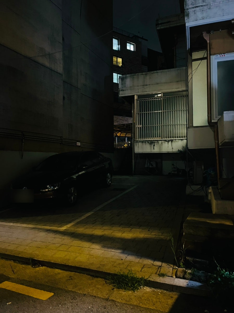 반지아 사진 3