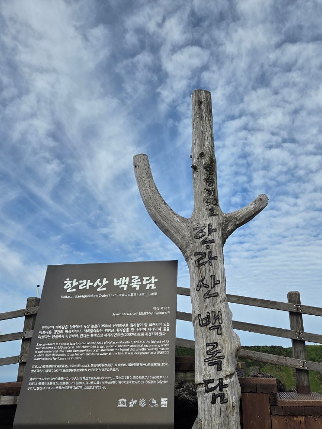 ⛰️제주도 한라산 성판악코스(6월)