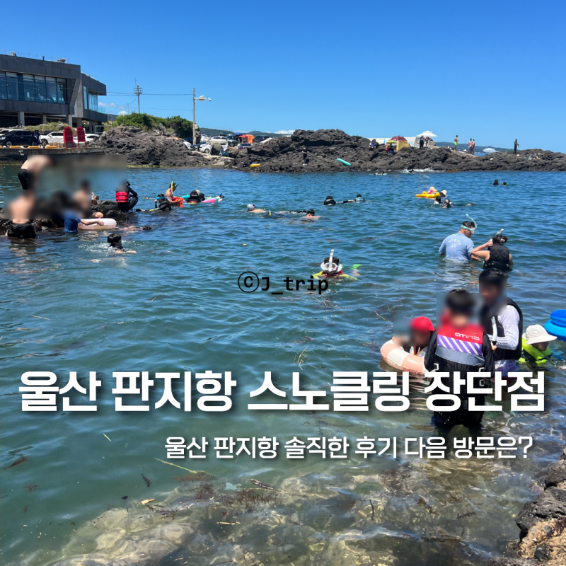 울산 판지항 스노클링 명소 물놀이 주차장 정보