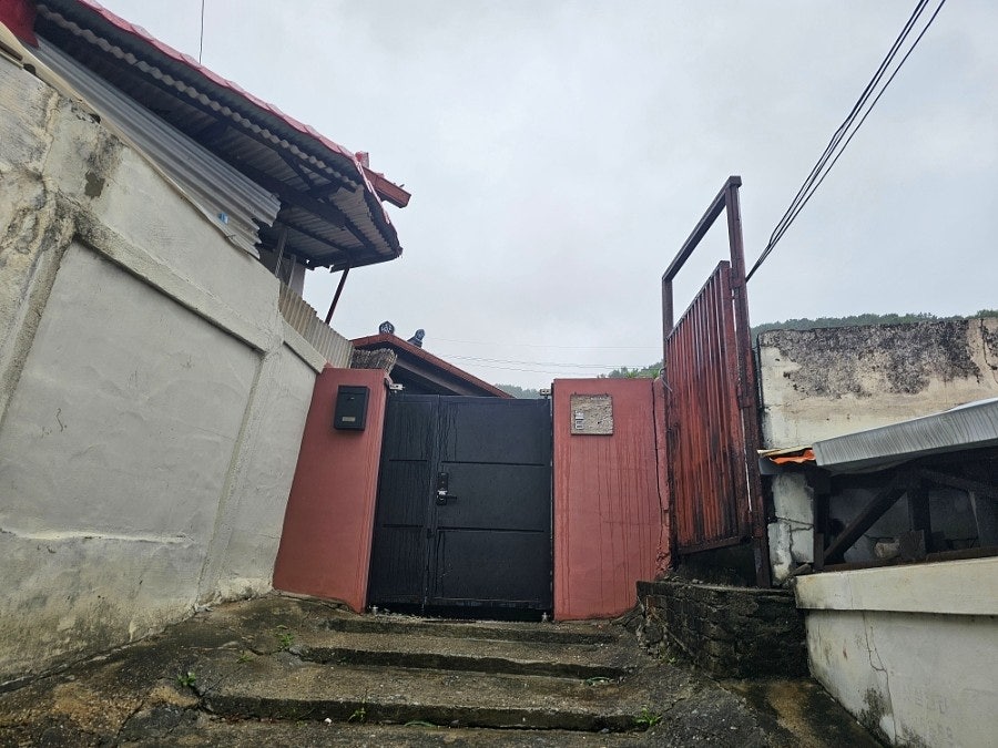 돌담 사진 6