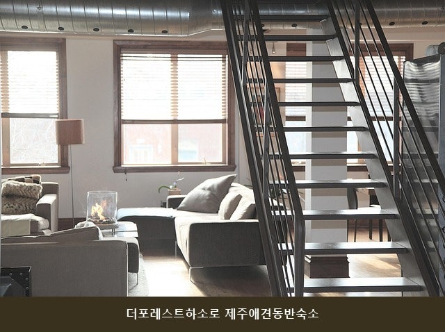 더포레스트 사진 1