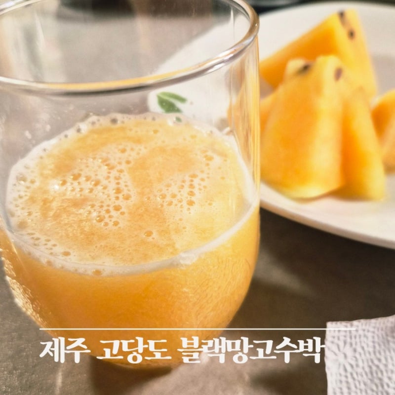 제주 고당도 블랙망고수박 후기 노란 과육이라 더 특별했던 여름 수박
