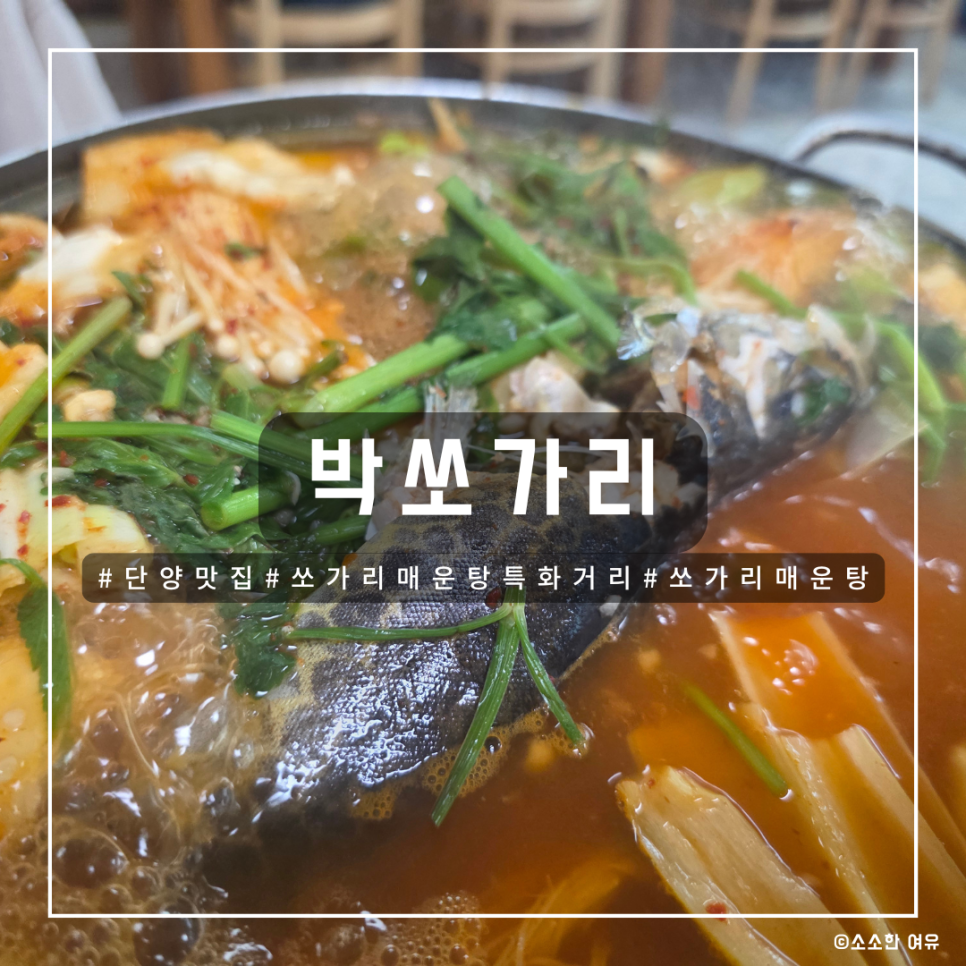 박쏘가리 사진 1
