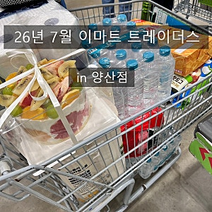 26년 7월 이마트 트레이더스 양산점: 신상품, 추천상품, 할인상품 케이크 쇼핑 후기