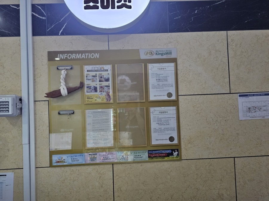 쵸이캣 충북혁신점 사진 4