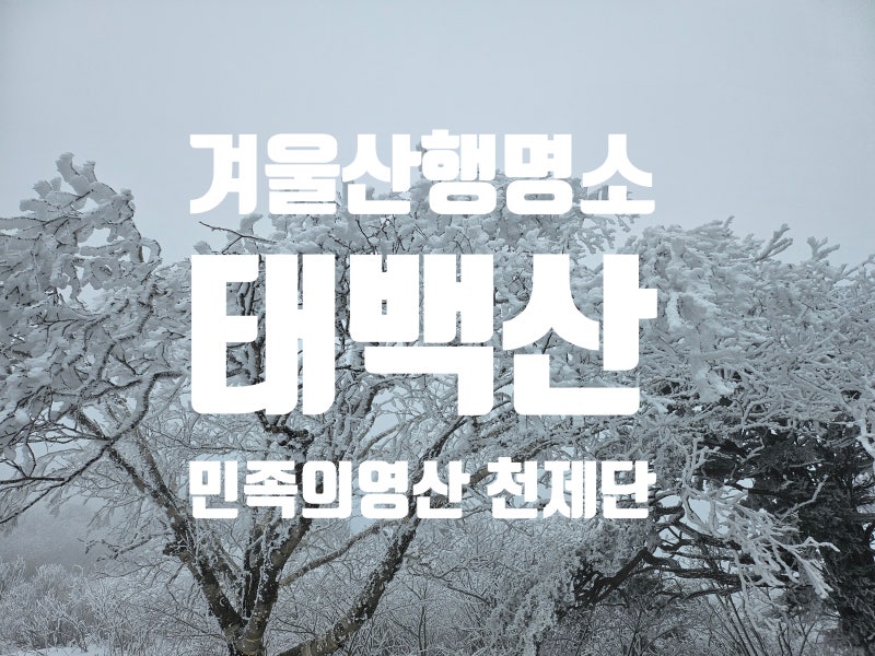 [13] 태백산(강원 정선)의 이름의 의미, 민족의 영산, 천제단, 겨울산행명소, 찾는 이유, 사랑....