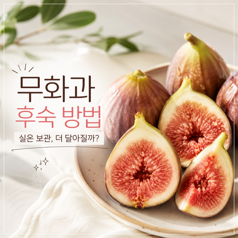 무화과 후숙 방법, 실온 보관하면 더 달아질까?