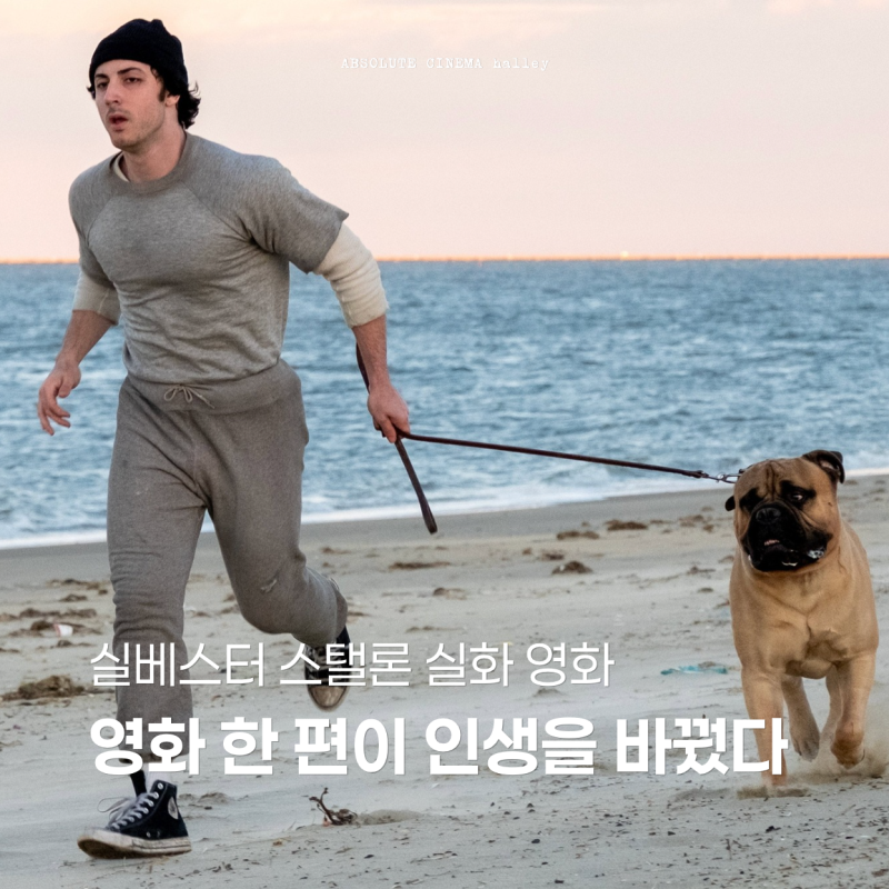 아이 플레이 록키 실베스터 스탤론 실화 실제인물 영화 줄거리 정보ㅣI Play Rocky