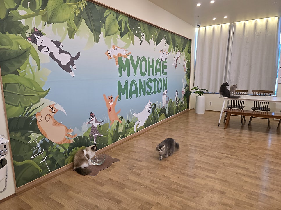 묘해저택 사진 2