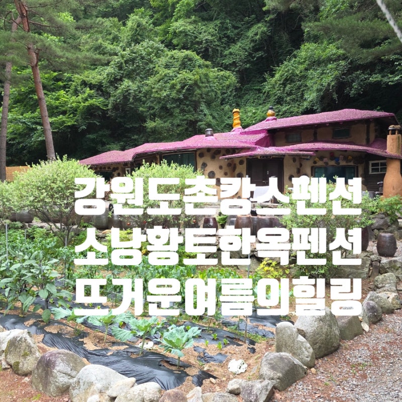 강원도 계곡 펜션에서 즐긴 촌캉스, 홍천 소낭황토한옥펜션에서 만난 여름 힐링