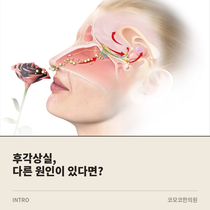 후각상실, 감기·코로나 말고도 이런 원인들이 있습니다