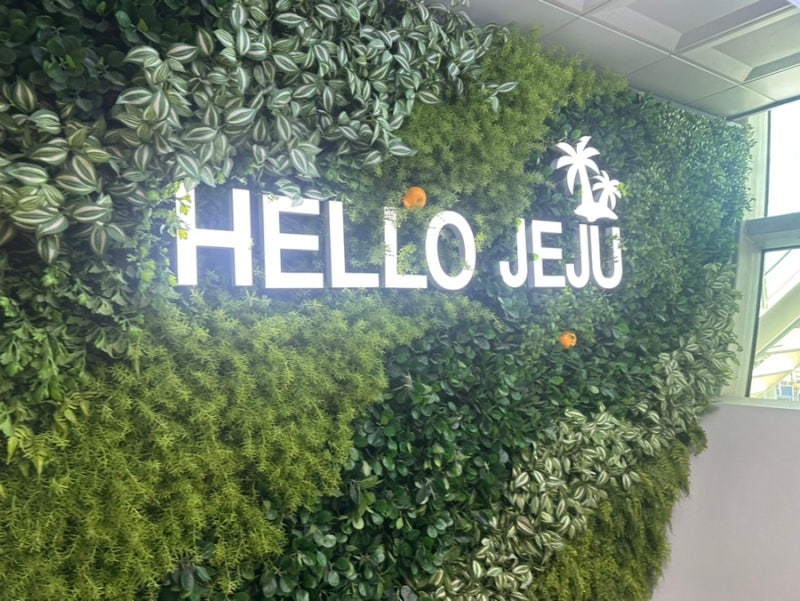 제주도 렌트카 제주패스 퍼시픽렌트카 내돈내산 후기