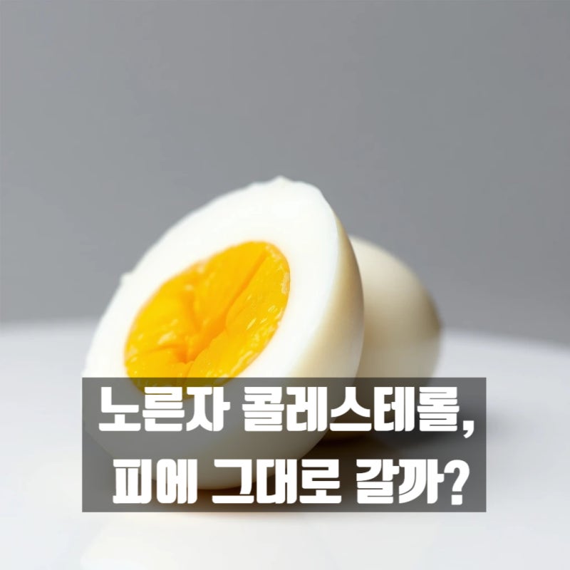 고지혈증인데 계란 노른자 먹어도 될까요? : 매일 먹어도 괜찮다는 최신 연구 결과,생각지도 ....