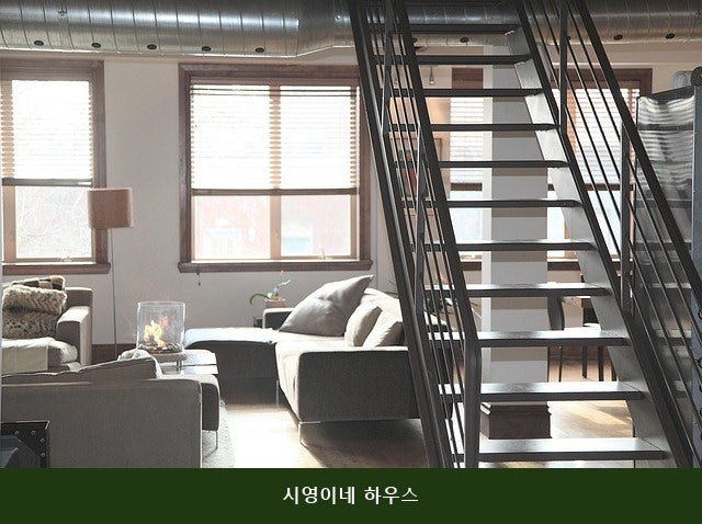 시영이네하우스 사진 1