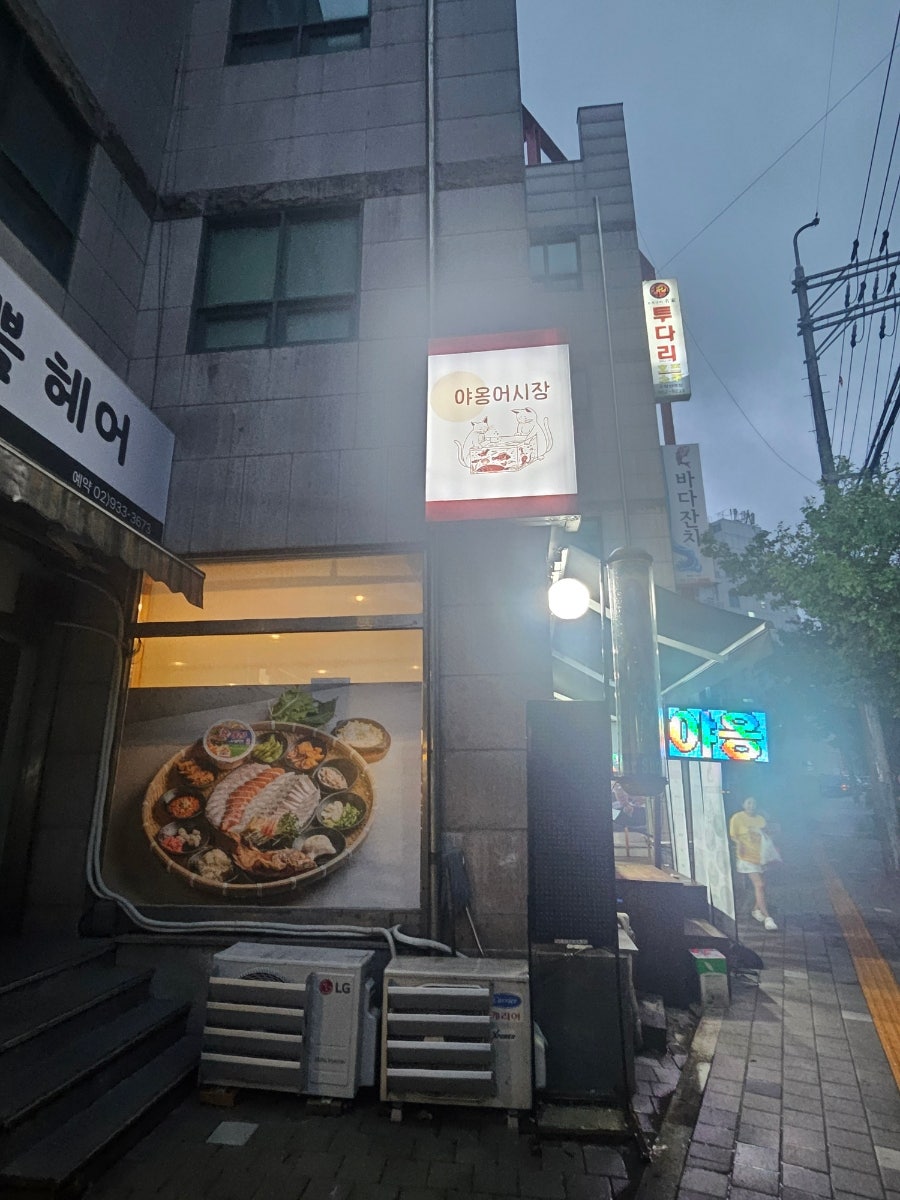 야옹어시장 사진 2