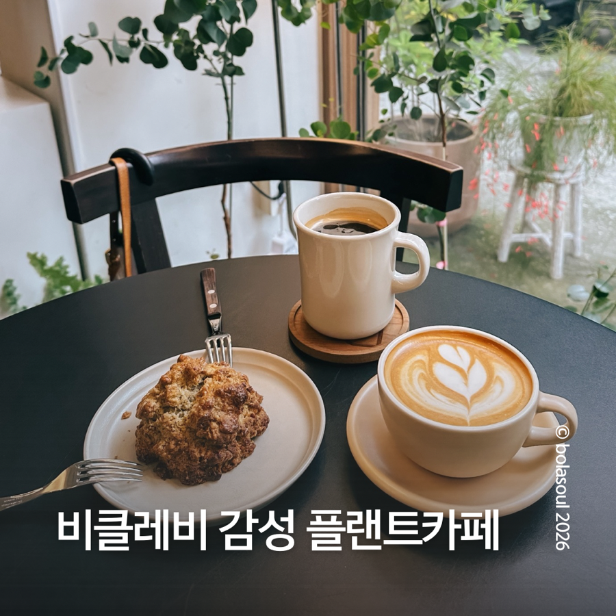비클레비 사진 1
