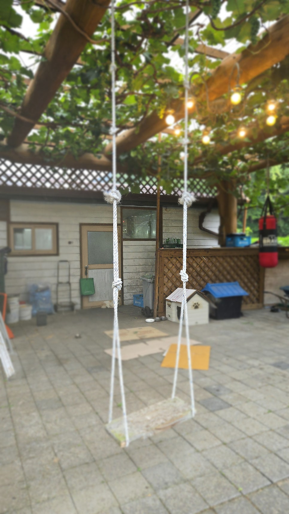 미당한우 사진 5