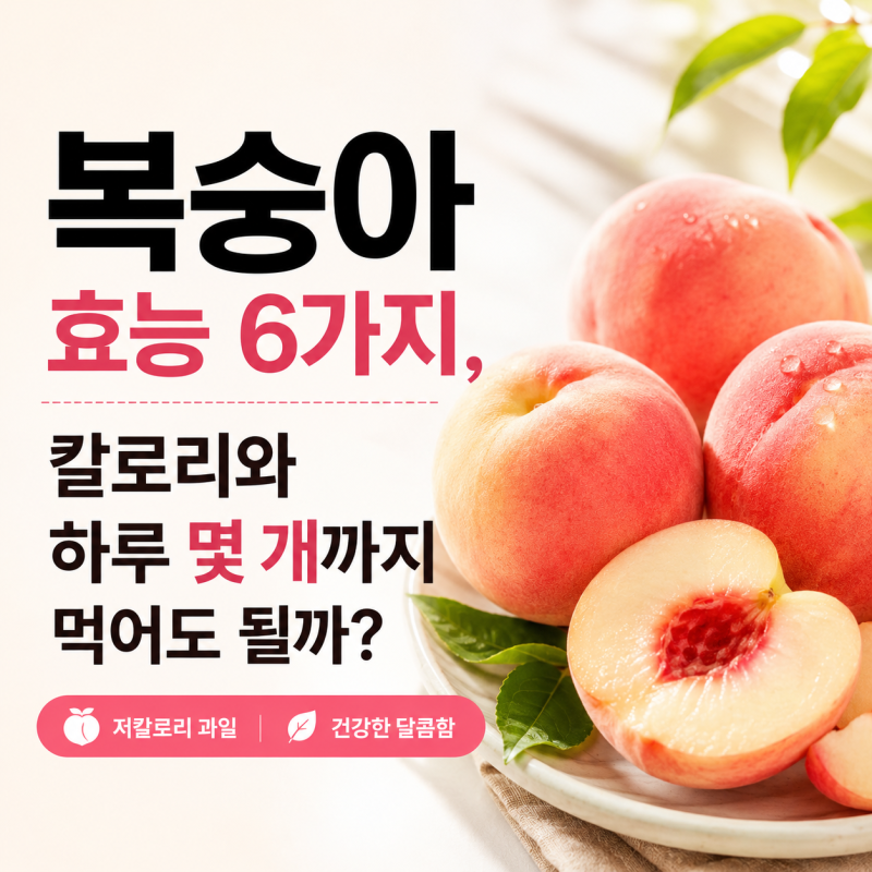 복숭아 효능 6가지, 칼로리와 하루 몇 개까지 먹어도 될까?