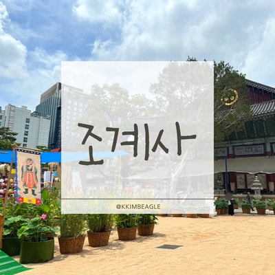 서울 여행 추천 | 종로 조계사 구경 및 촛불키고 소원빌기(조계사 연꽃 축제·도심 속 힐링·....