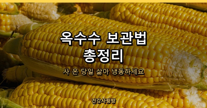 옥수수 보관법 총정리, 생옥수수 찐 옥수수 냉동 보관 이렇게 다릅니다