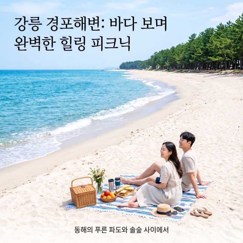 바다 내음과 솔향 가득한 강릉 경포해수욕장 피크닉 명당 및 주차 꿀팁 완벽 정리
