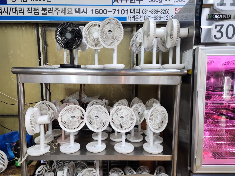천송셀프 사진 4