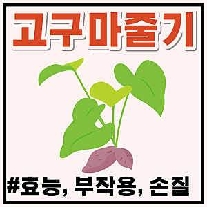 버릴 게 없는 천연 영양제, 고구마줄기 효능 5가지와 부작용 (고구마순 삶는 법까지)
