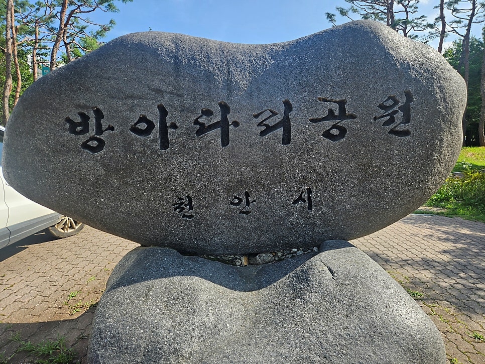 방아다리 사진 1
