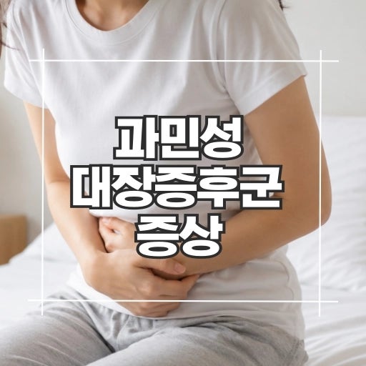 과민성대장증후군 증상, 왜 반복될까요? 원인부터 관리 방법까지