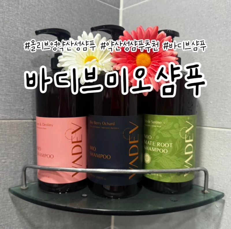 비듬 때문에 고민이라면? 올리브영 약산성샴푸 추천, 바디브 미오 샴푸 후기