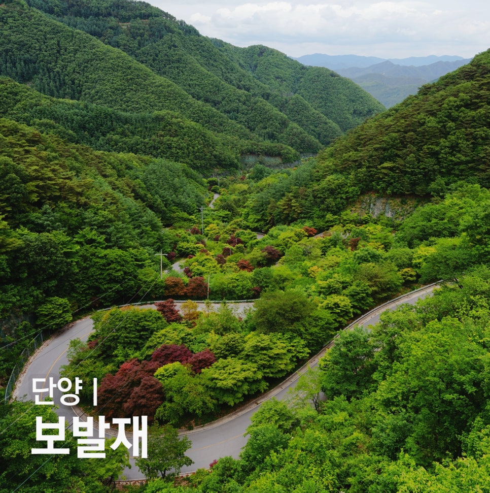 보발재드라이브 사진 1