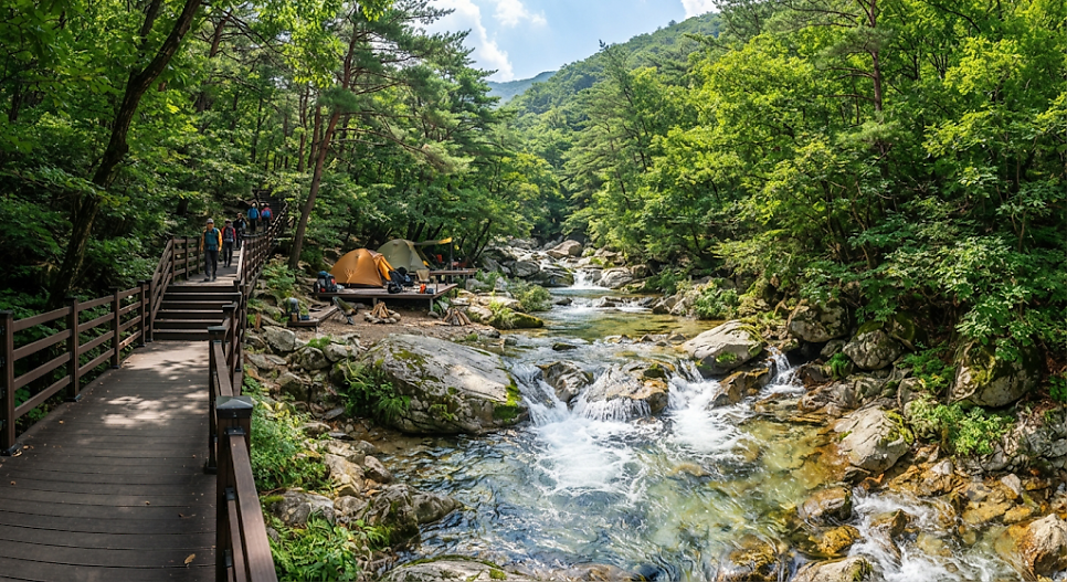 박달재자연휴양림 사진 2