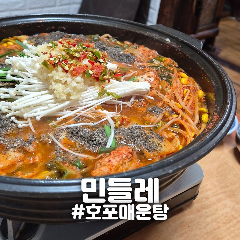 민들레 사진 1