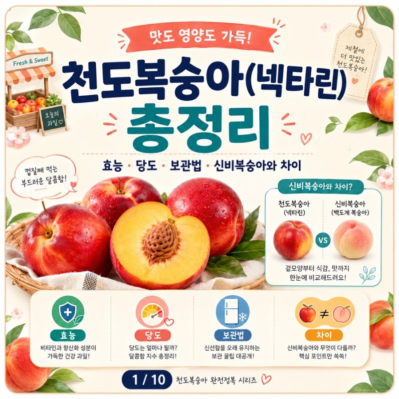 천도복숭아(넥타린) 효능·당도·보관법 총정리, 신비복숭아와 차이까지