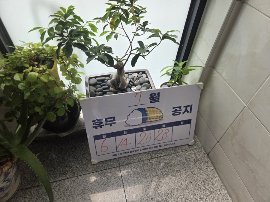 추가네횟집 사진 3