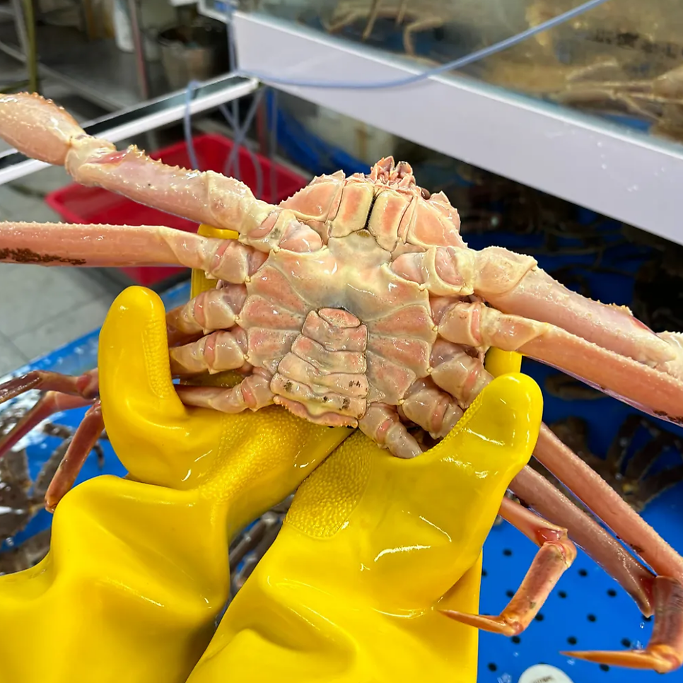 북평대게 사진 5