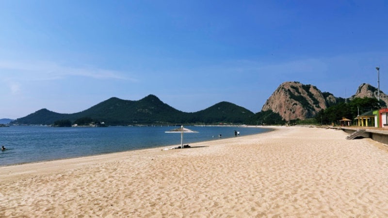[군산여행] 강아지동반 군산여행 1박2일 코스 정리 나혼자여행