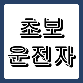 초보 운전자 자동차 보험료 아끼는 꿀팁! 다이렉트 경력인정제도로 보험료 폭탄 피하기