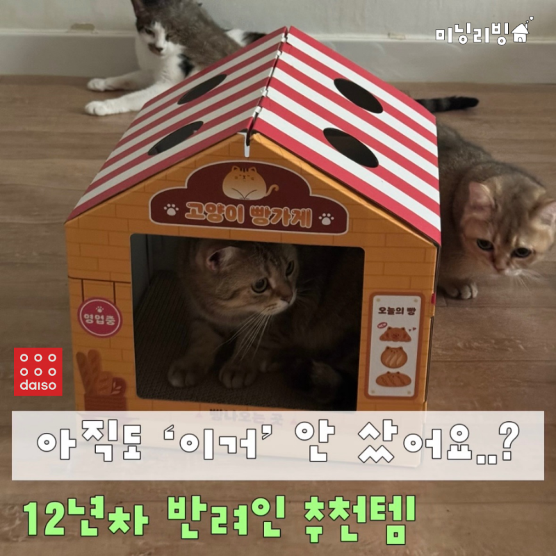 12년차 반려인이 갈 때마다 담는 다이소 '반려 용품 숨은 꿀템' 5가지 이제 이마트 안 가도 되....