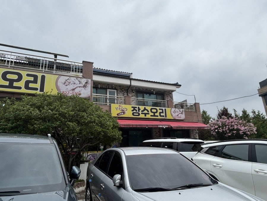 수통골장수오리 사진 3